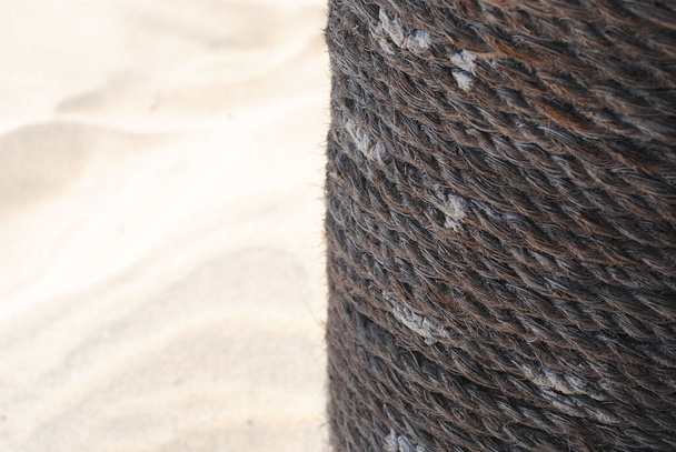 Coarse rope made of natural fiber material - sisal plant. Macro photo of texture, background - Photo, Image