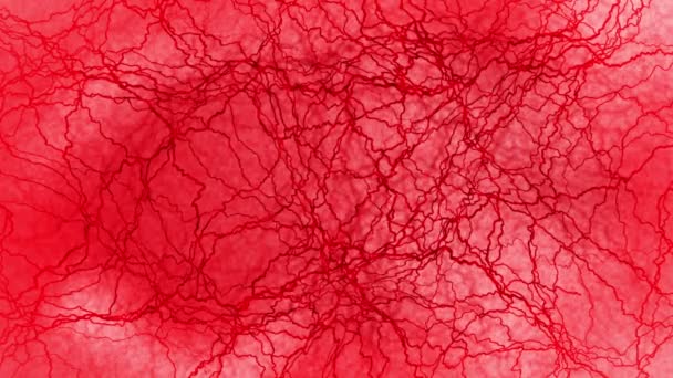 Az emberi véredények 3D-s hurok animációja. Vörös hajszálerek. Szem vér a vörös háttéren. Anatómiai háttér. Orvosi fogalom. - Felvétel, videó