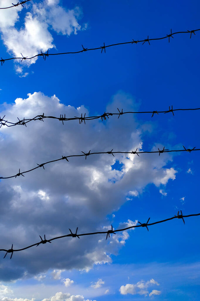 Barb wire fence and blue sky .Diagonal barbed wire and sky. - Photo, Image