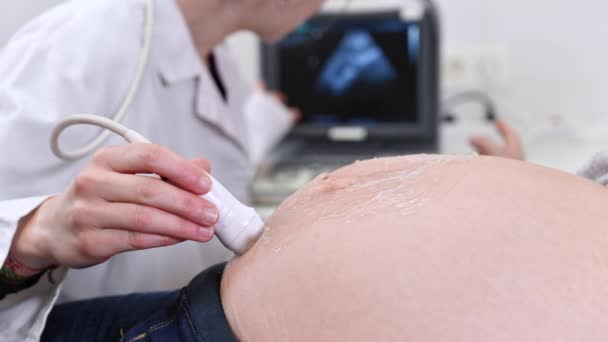 Lekarz wykonuje zabieg ultradźwiękowy lub ultrasonograficzny do kobiety w ciąży w szpitalu, ujęcie zbliżeniowe położnika Przetwornik ruchu na brzuchu przyszłej matki. - Materiał filmowy, wideo