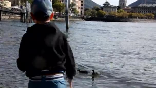 Back view of little boy throwing food into river to feed ducks, beautiful view of the lake - Filmmaterial, Video