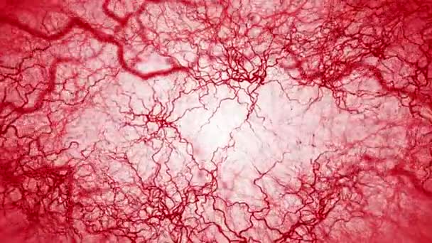 Animación en bucle 3D del vaso sanguíneo humano. Capilares rojos. Sangre de ojos sobre fondo blanco. Fondo anatómico. Concepto médico
. - Metraje, vídeo