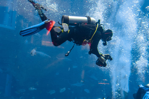 Fotógrafos subaquáticos em mergulhos. Mergulhadores com câmera cercada por um grande número de peixes no enorme aquário. Atlantis, Sanya, Hainan, China
. - Foto, Imagem