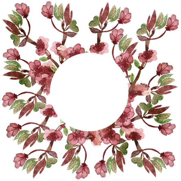 Watercolor hand painted nature floral squared composition with pink apple blossom flowers, green leaves and white background circle frame for invite and greeting card with the space for text - Foto, Imagem