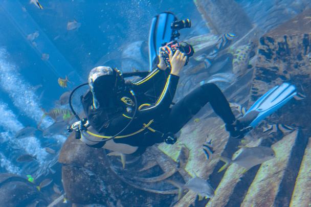 Fotógrafos subaquáticos em mergulhos. Mergulhadores com câmera cercada por um grande número de peixes no enorme aquário. Atlantis, Sanya, Hainan, China
. - Foto, Imagem