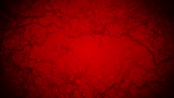 Animação em loop 3D de vasos sanguíneos humanos. Capilares. Sangue no fundo vermelho. Anatomia de fundo. Conceito médico
. - Filmagem, Vídeo