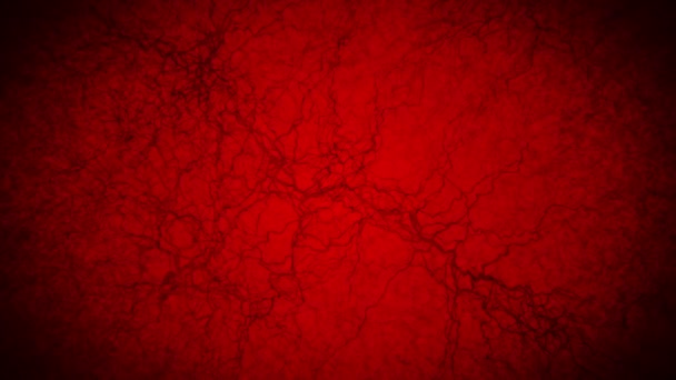 3D loop animation of human blood vessel. Capillaries. Eye blood on red background. Anatomical background. Medical concept. - Footage, Video