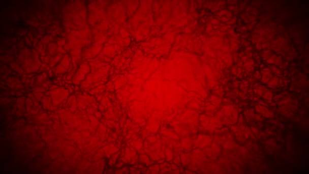 3D loop animation of human blood vessel. Capillaries. Eye blood on red background. Anatomical background. Medical concept. - Footage, Video