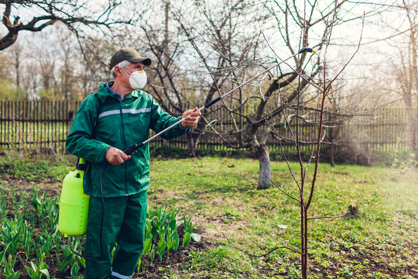 Zemědělec rozprašovací strom s ručním rozprašováním pesticidů proti hmyzu v jarní zahradě. Zemědělství a zahradování - Fotografie, Obrázek