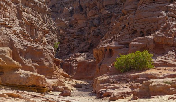 Coloured Canyon is a rock formation on Sinai peninsula. Sights of Nuweiba, Egypt. - Photo, Image