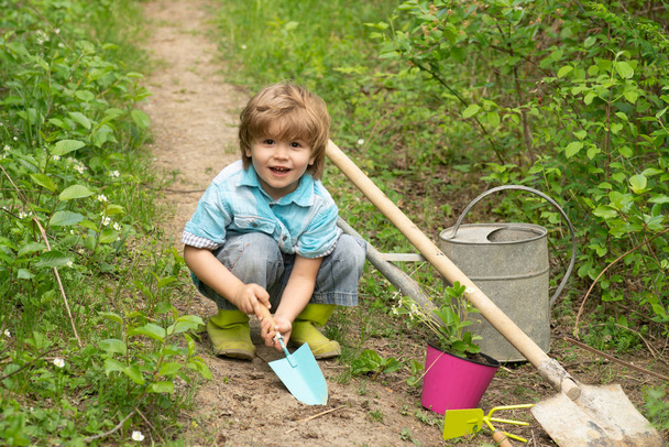 Children summer activities. Carefree childhood. Little Farmer boy examining Common fig crop in plantation or field. - Zdjęcie, obraz
