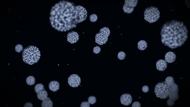 Вирусная клетка в сферической форме. Патогенные вирусы вызывают инфекцию. Цикл анимации вируса человека. Бактериальный микроорганизм. Вспышка вирусных заболеваний
. - Кадры, видео