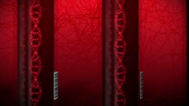 A DNS molekula vörös vérrel a kémcsőben. Vérvizsgálóberendezés. Hurok animáció. Orvosi fogalom. 3d renderelés véna és artéria. - Felvétel, videó