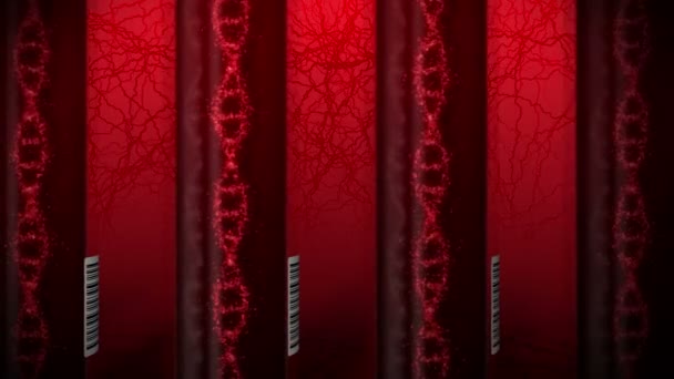 Molekül des Dna-Systems mit rotem Blut im Reagenzglas. Bluttestgeräte. Schleifenanimation. Medizinisches Konzept. 3D-Rendering Vene und Arterie. - Filmmaterial, Video