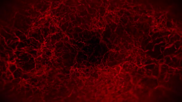 Az emberi véredények 3D-s hurok animációja. Vörös hajszálerek. Szem vér a fekete háttéren. Anatómiai háttér. Orvosi fogalom. - Felvétel, videó