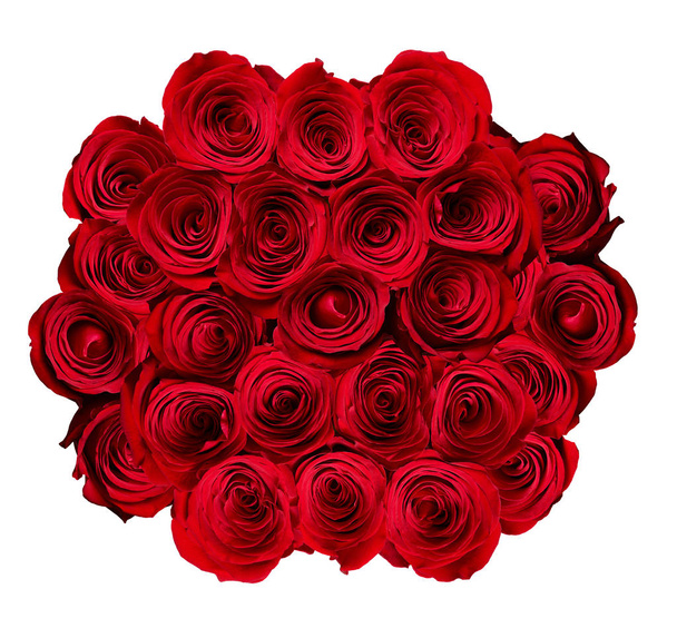 fleur rose pétale fleur rouge nature beau fond
 - Photo, image