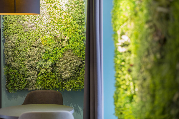 Creatief shot in coffeeshop met groene plantendecoratie - Foto, afbeelding
