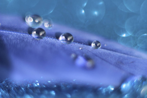 krople wody na niebieski per, który leży na błyszczącym niebieskim tle  - Zdjęcie, obraz