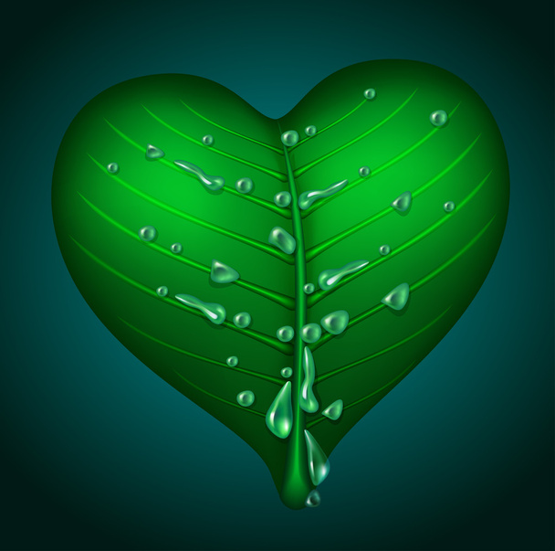 Heart-shaped leaf - Vetor, Imagem