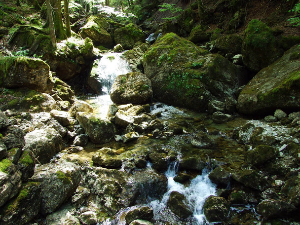 Ijentaler Bach stream in the Ijental Alpine valley and in the Obertoggenburg region, Nesslau - Canton of St. Gallen, Switzerland - Fotoğraf, Görsel