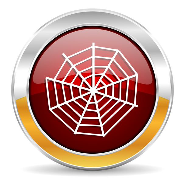 spider web - Фото, изображение