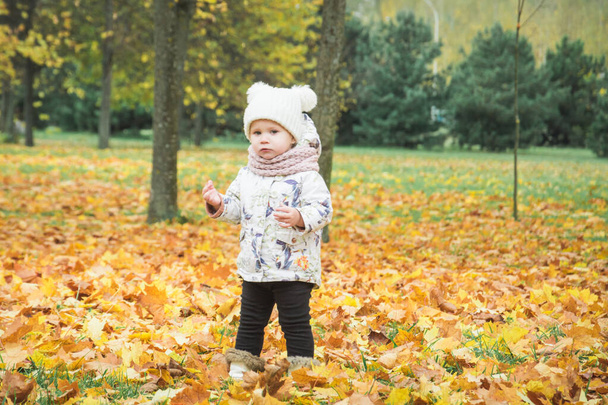 Маленькая красивая счастливая двухлетняя девочка в осеннем парке
 - Фото, изображение