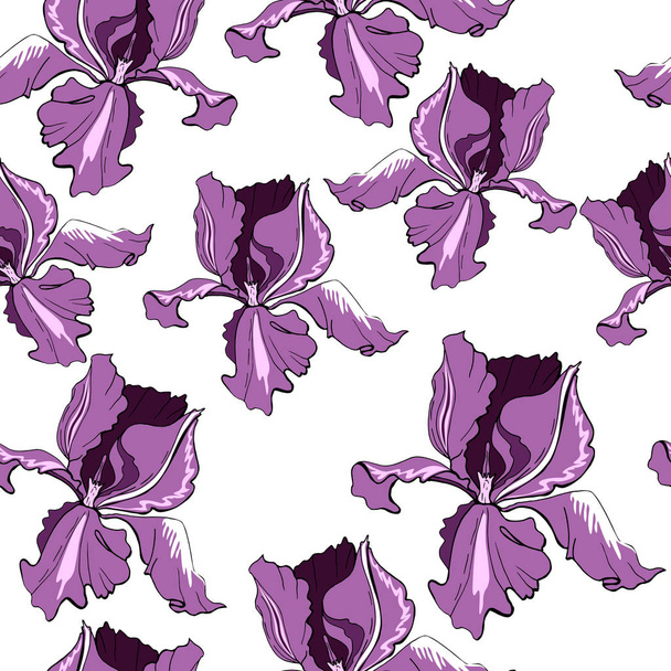 Płynny wzór z fioletowymi kwiatami tęczówki. Ilustracja wektora C - Wektor, obraz