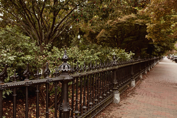 Σιδερένιος φράχτης περιτριγυρισμένος από πυκνά φυλλώματα στο Boston Public Garden στη γειτονιά Back Bay της Βοστώνης, Μασαχουσέτη. - Φωτογραφία, εικόνα