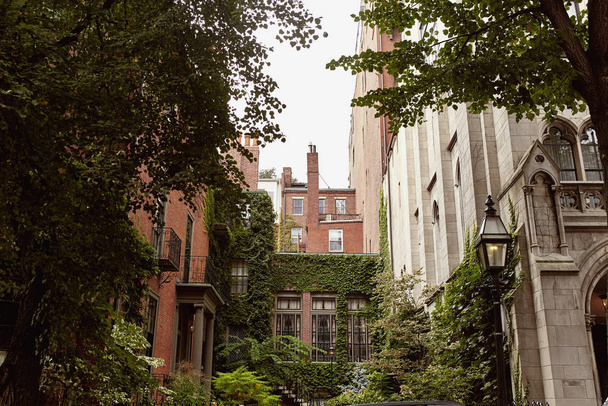 Αυλή με πλούσια, πράσινο φύλλωμα στην ιστορική γειτονιά Beacon Hill της Βοστώνης, Μασαχουσέτη - Φωτογραφία, εικόνα