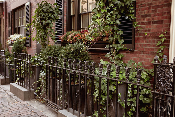 Gros plan de clôture en fer forgé entourée de feuillage dans le quartier historique de Beacon Hill à Boston, Massachusetts
. - Photo, image