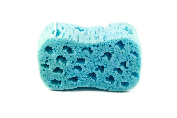 Blue Bath Sponge - Photo, Image