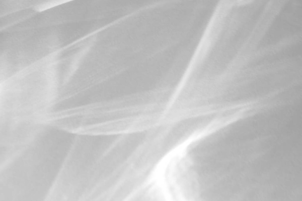 Sombra de gota orgánica en una pared blanca - Foto, imagen