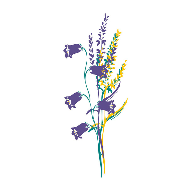 A nice bouquet of campanula or bellflower and meadow grass. Hand drawn vector illustration of decorative wildflowers isolated on white background. - Vector, Image