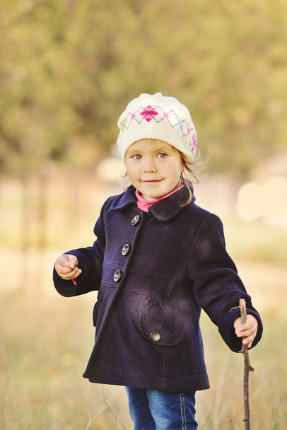 toddler girl in autumn time - Foto, Imagem