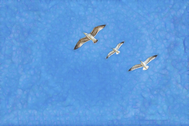 Sirály repül a kék égen - Fotó, kép