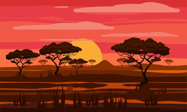 Naplemente Afrikában, szavanna táj a sziluettek fák, fű bokrok horison narancs Nap. Tartalékok és nemzeti parkok a szabadban. Vektor illusztráció elszigetelt rajzfilm stílus - Vektor, kép