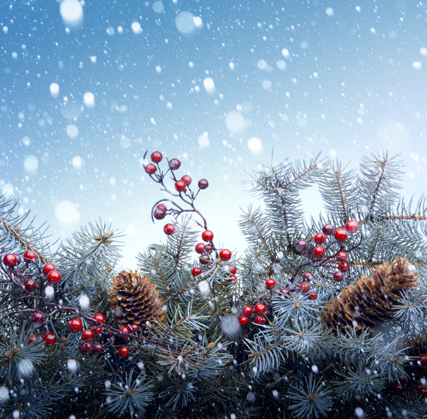 Hintergrund Weihnachtsbaum - Foto, Bild