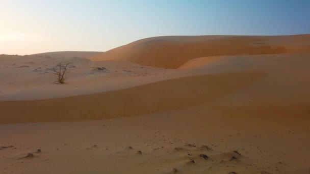 Lompoul Çölü, Senegal, Afrika 'daki kum tepelerinin 4k' lik videosu. Kumda güzel dalgalar var.. - Video, Çekim