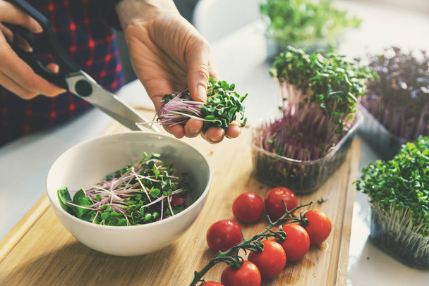 žena připravit čerstvý syrový veganský salát z mikrozeleně a vegetab - Fotografie, Obrázek