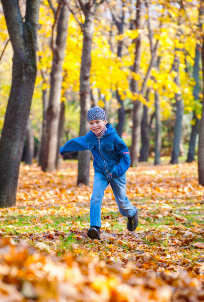 boy runs in autumn park - Фото, зображення