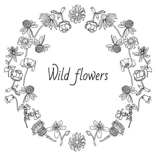 Round frame composition of wildflowers: hypericum, celandine, clover, chamomile, poppy, trollius, echinacea, thistle, bluebell. Hand drawn vector illustration isolated on white. Doodle border design - Vector, afbeelding