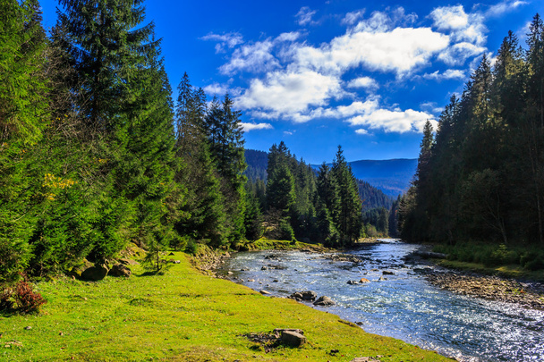 river flows by rocky shore near the autumn mountain forest - Zdjęcie, obraz