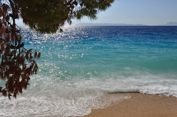 хвилі на красивому пляжі. Підгора, Хорватія - Фото, зображення