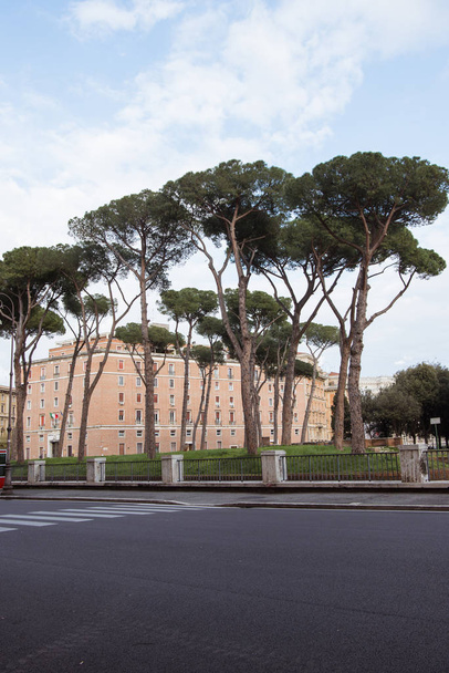 beautiful trees and building in Rome, Italy - Photo, image