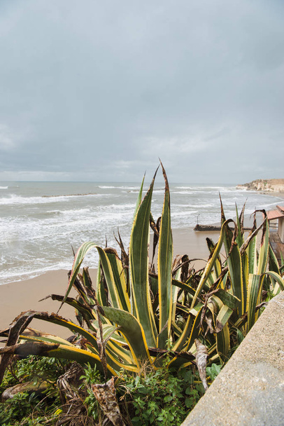 pusta piaszczysta plaża w pochmurny dzień, Anzio, Włochy - Zdjęcie, obraz