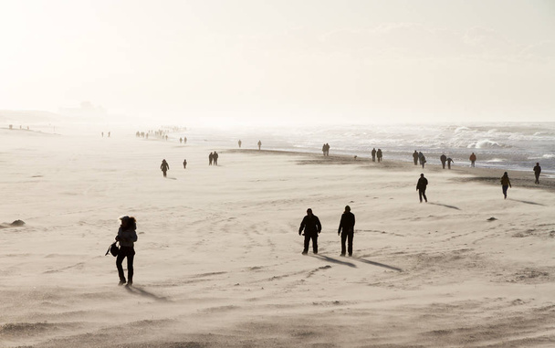 Silhouetten am Strand an einem sonnigen Tag mit Sturmwind in den Niederlanden - Foto, Bild