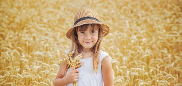 A child in a wheat field. Selective focus. - 写真・画像