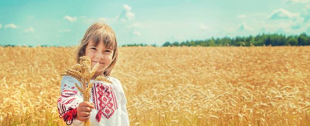 Un bambino in un campo di grano con una camicia ricamata. Ucraino. Focus selettivo
. - Foto, immagini