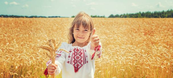 Uma criança em um campo de trigo em uma camisa bordada. Ucraniano. Foco seletivo
. - Foto, Imagem