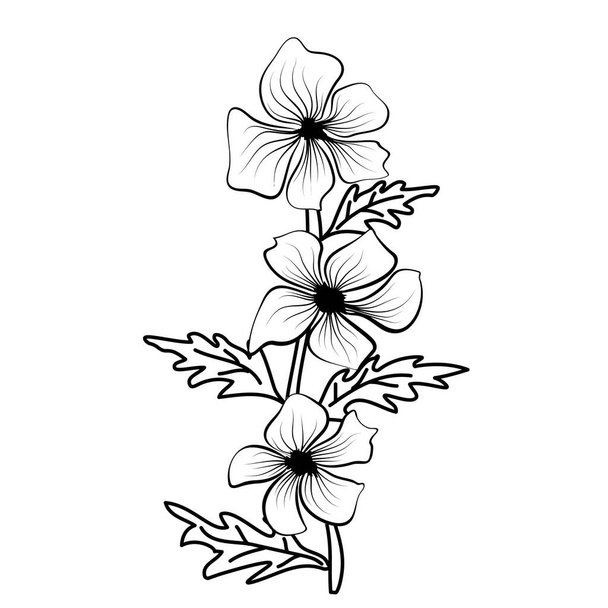 Black outlines of flowers. Flower icon. Vector outline illustration. Floral illustration. Flower background. Isolated white background. - Vector, Image